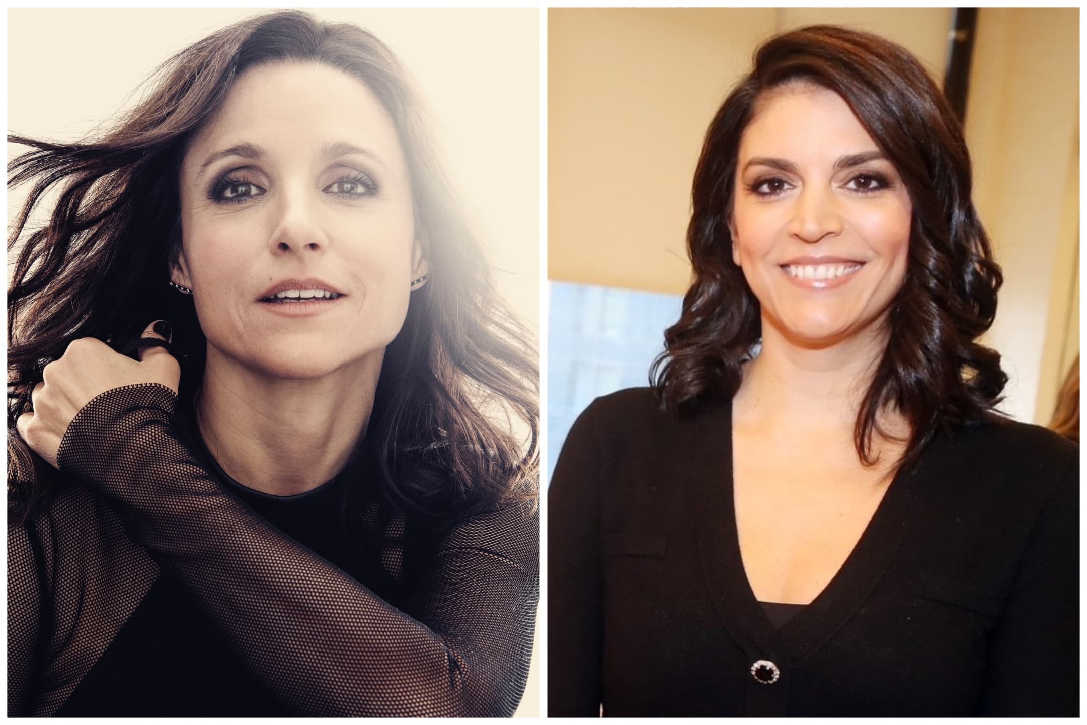 Julia Louis-Dreyfus y Cecily Strong protagonizarán 'Nanny Squatter', la nueva apuesta de Apple TV+