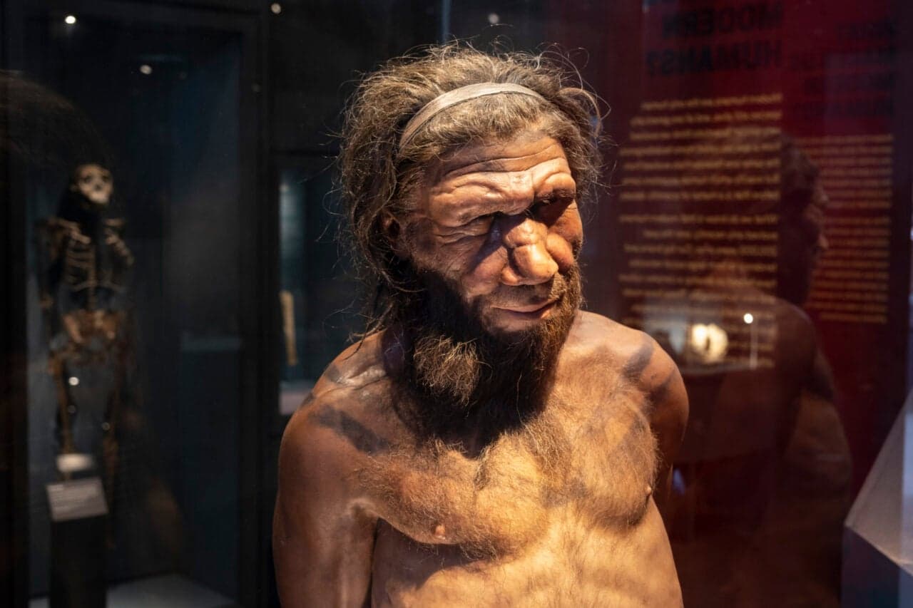 Estudio revela que los encuentros entre hombres neandertales y mujeres humanas fueron los más frecuentes